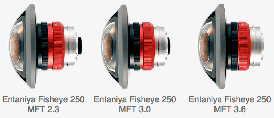 entaniya-250-fisheye-mft-lens-versions